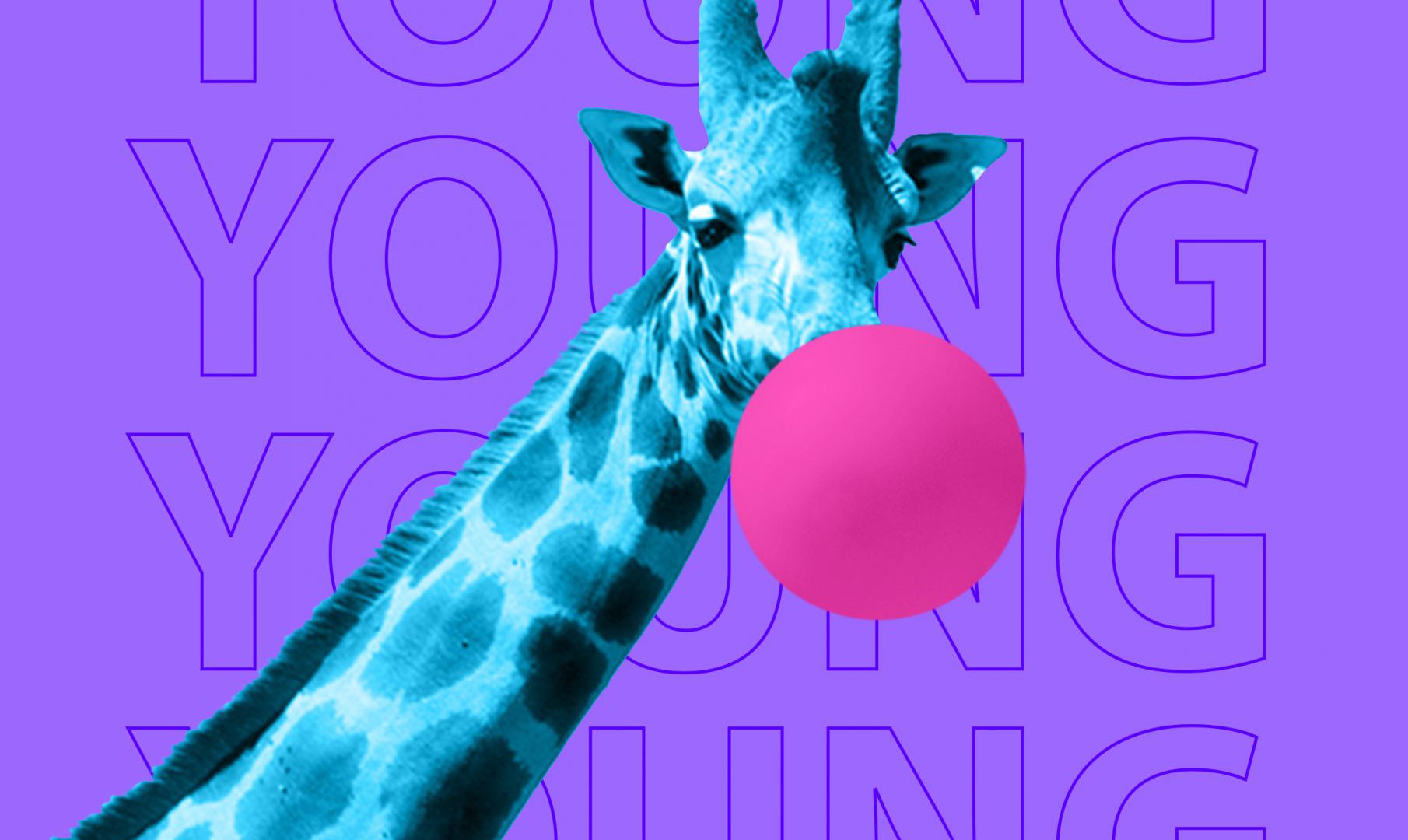 shutterstock_1351205435