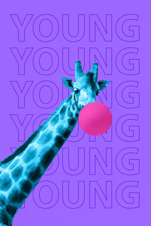 shutterstock_1351205435