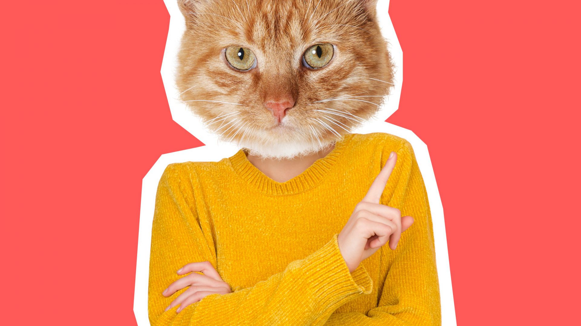 shutterstock_1913218102