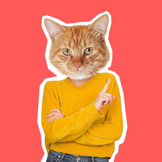 shutterstock_1913218102