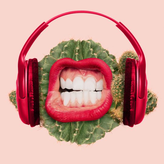 shutterstock_1353022028