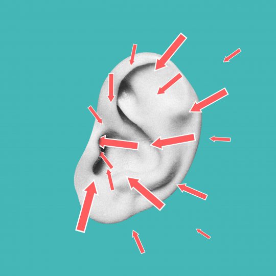 shutterstock_1908816289